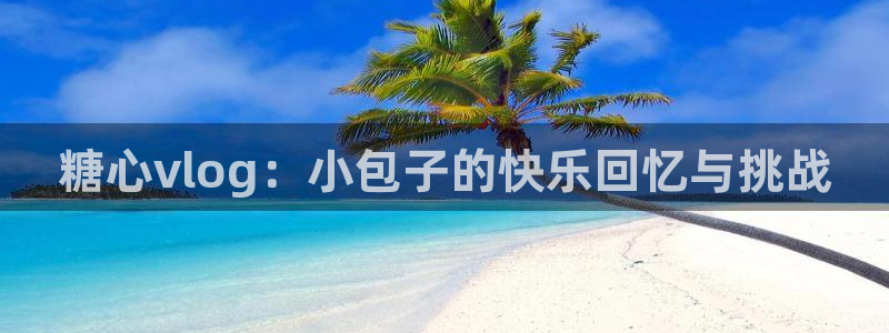 糖心vlog二次元播放：糖心vlog：小包子的快乐回忆与挑战