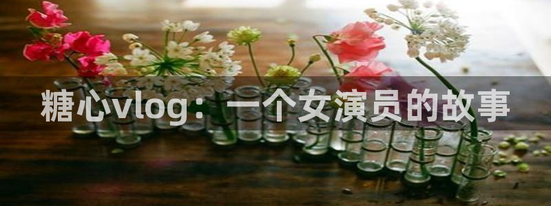 糖心vlog柚子猫新娘：糖心vlog：一个女演员的故事