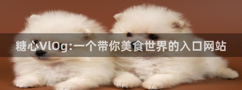 糖心vlog 播放：糖心VlOg:一个带你美食世界的入口网站
