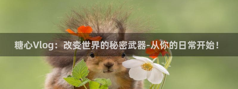 溏心糖心vlog：糖心Vlog：改变世界的秘密武器-从你的日常开始！