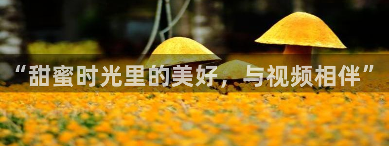 糖心vlog剧情在线:“甜蜜时光里的美好,与视频相伴”