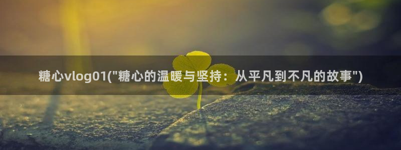 金先生糖心vlog:糖心vlog01(\