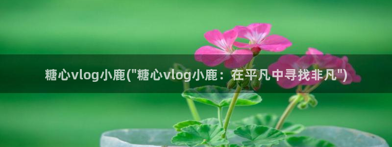 糖心 vlog：糖心vlog小鹿(\