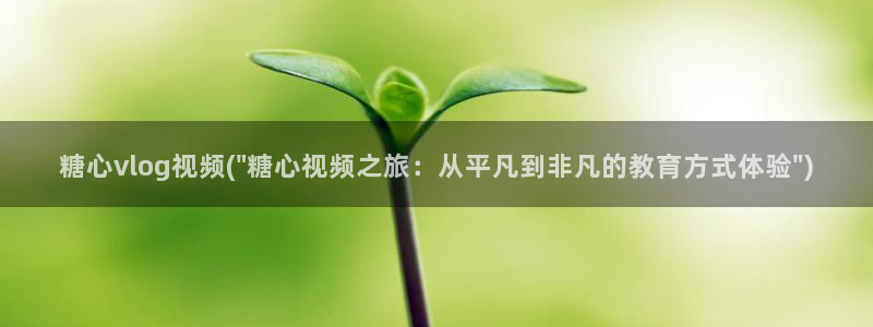 糖心vlog多乙白嫩多:糖心vlog视频(\