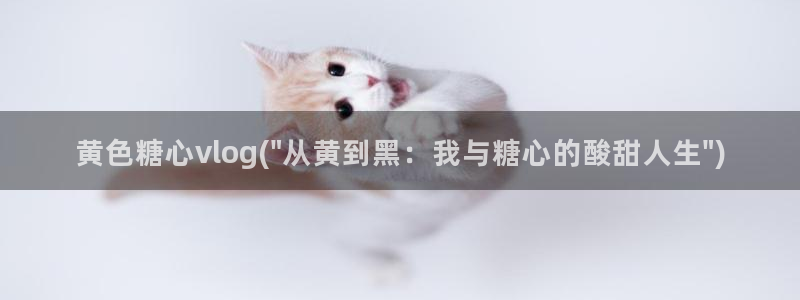 糖心vlog软件下载:黄色糖心vlog(\