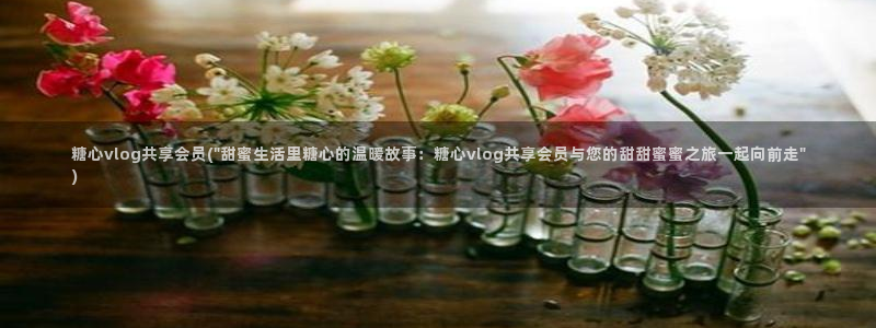 糖心VLOG蜜桃影像:糖心vlog共享会员(\