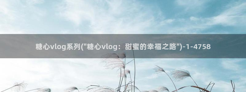 糖心vlog网页：糖心vlog系列(\