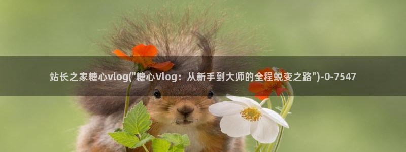 都源于糖心vlog：站长之家糖心vlog