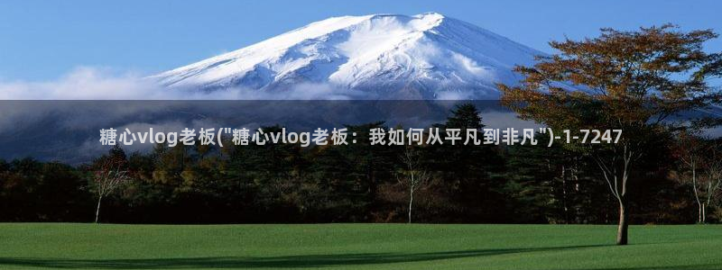 糖心vlog 黄：糖心vlog老板(\