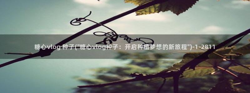 糖心vlog排行：糖心vlog 种子(\