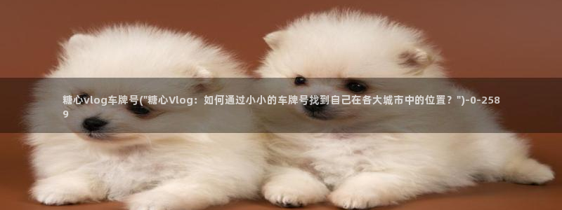 糖心vlog小桃酱照片：糖心vlog车牌号(\