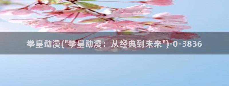 一拳超人动漫：拳皇动漫(\