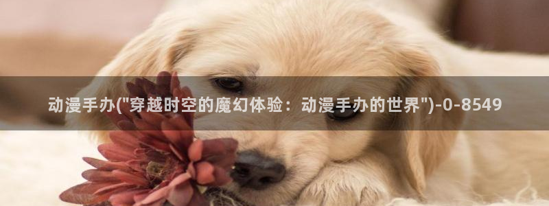 黑猫动漫：动漫手办(\