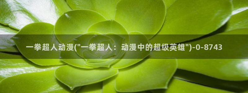 神印王座动漫:一拳超人动漫(\