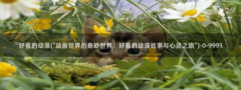 后宫动漫
