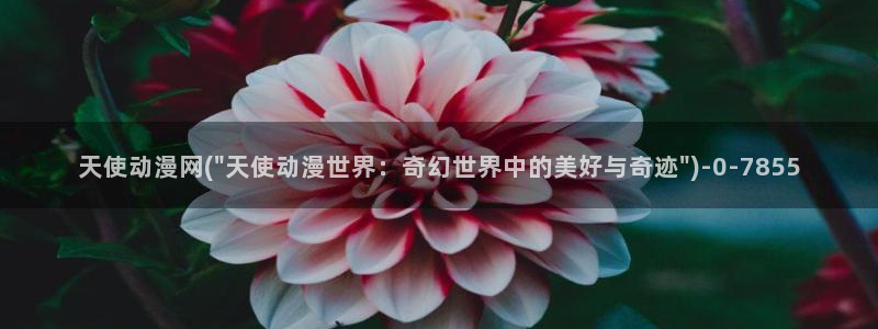 胶囊旅馆动漫